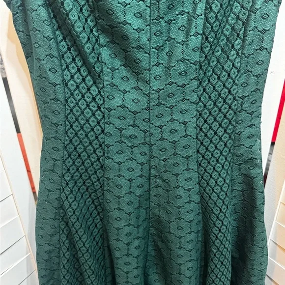 Danny and Nicole A-Line Laced Dress - Picture 3 of 6